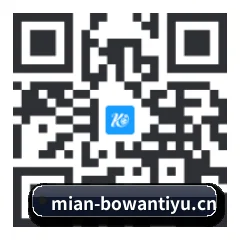 系统版 iOS 二维码